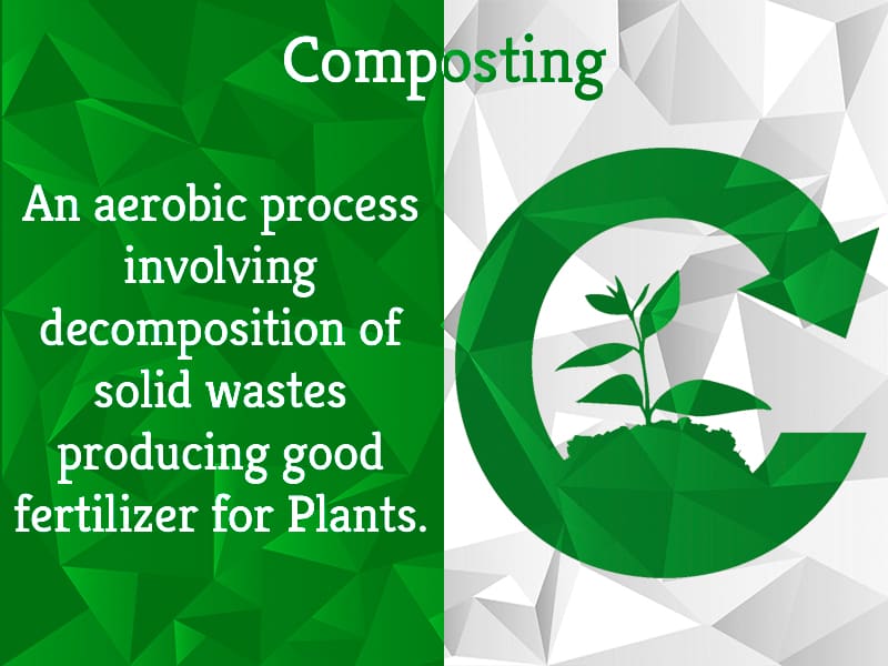 Composting Basics: All you need to know