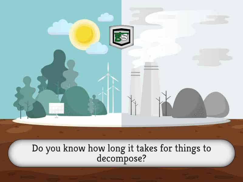 How long does it take for things to decompose?